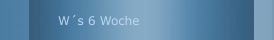 W&acute;s 6 Woche