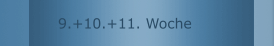 9.+10.+11. Woche